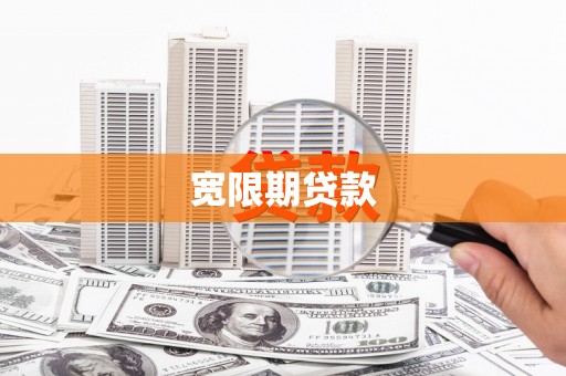 瑞穗宽限期贷款
