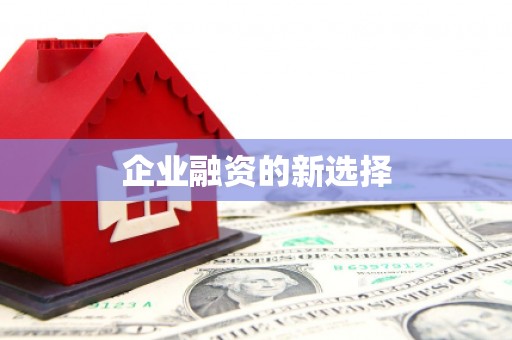 瑞穗企业融资的新选择