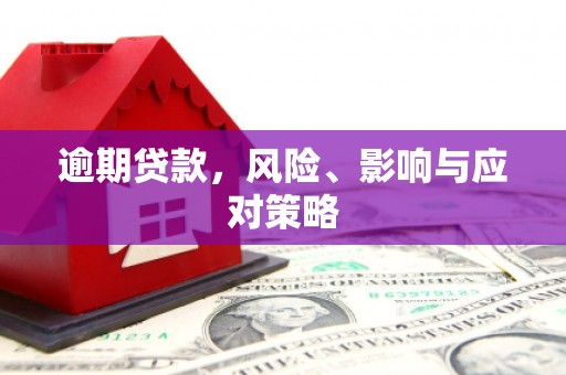 瑞穗逾期贷款，风险、影响与应对策略