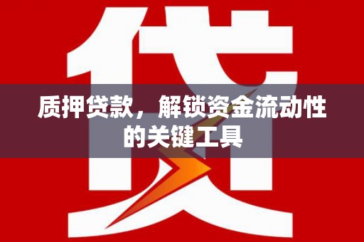 瑞穗质押贷款，解锁资金流动性的关键工具