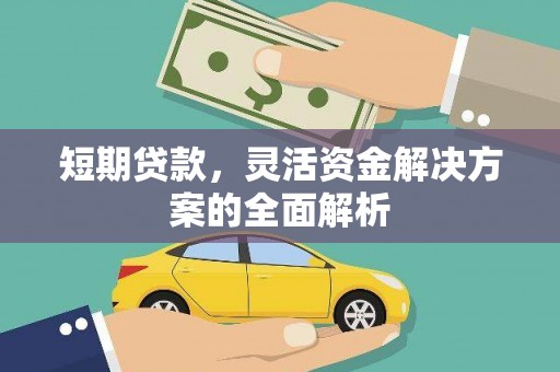 瑞穗短期贷款，灵活资金解决方案的全面解析