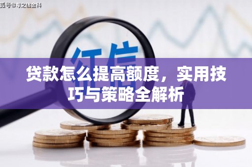 瑞穗贷款怎么提高额度，实用技巧与策略全解析
