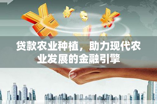 瑞穗贷款农业种植，助力现代农业发展的金融引擎