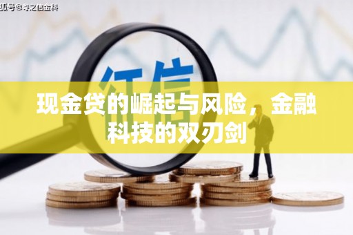 瑞穗现金贷的崛起与风险，金融科技的双刃剑
