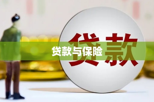 瑞穗贷款与保险