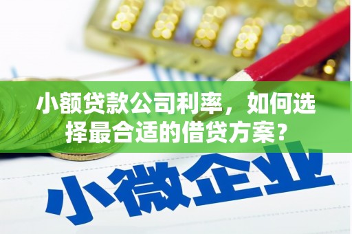 瑞穗小额贷款公司利率，如何选择最合适的借贷方案？