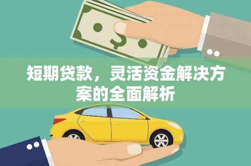 瑞穗短期贷款，灵活资金解决方案的全面解析
