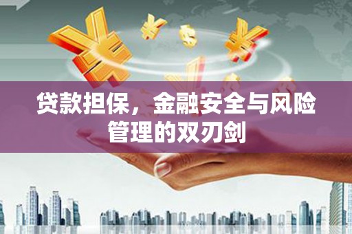 瑞穗贷款担保，金融安全与风险管理的双刃剑