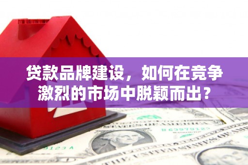 瑞穗贷款品牌建设，如何在竞争激烈的市场中脱颖而出？
