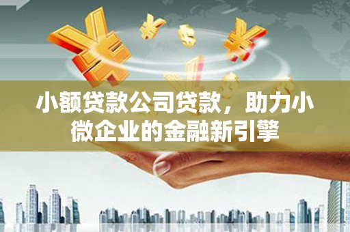 瑞穗小额贷款公司贷款，助力小微企业的金融新引擎