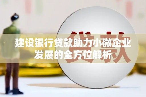 瑞穗建设银行贷款助力小微企业发展的全方位解析