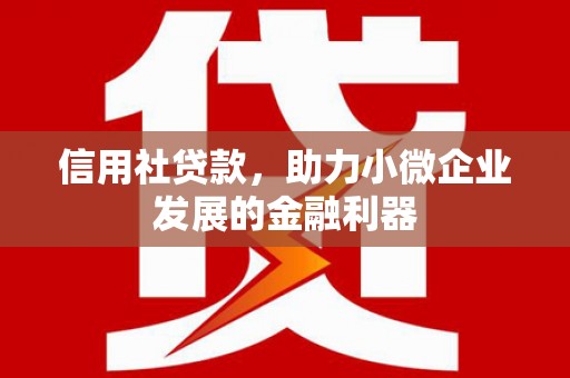 瑞穗信用社贷款，助力小微企业发展的金融利器