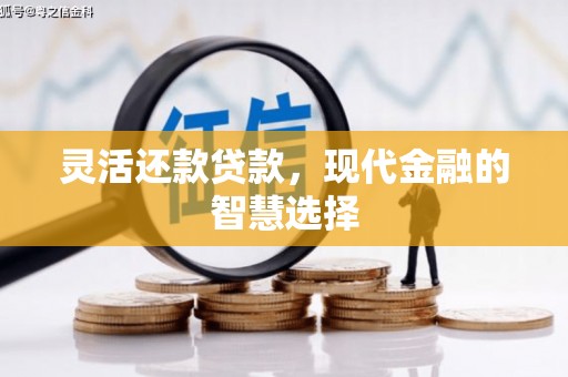瑞穗灵活还款贷款，现代金融的智慧选择