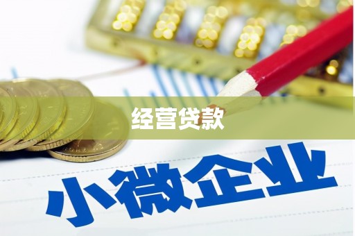 瑞穗经营贷款
