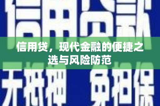 瑞穗信用贷，现代金融的便捷之选与风险防范