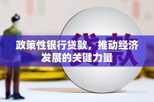 瑞穗政策性银行贷款，推动经济发展的关键力量