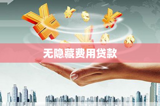 瑞穗无隐藏费用贷款