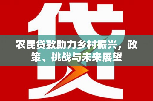 瑞穗农民贷款助力乡村振兴，政策、挑战与未来展望