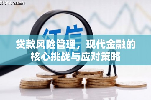 瑞穗贷款风险管理，现代金融的核心挑战与应对策略