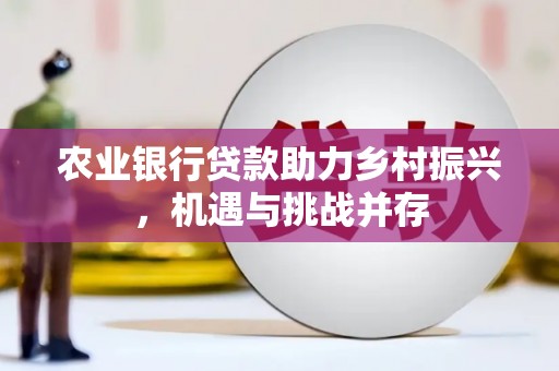 瑞穗农业银行贷款助力乡村振兴，机遇与挑战并存