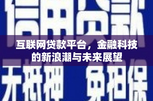 瑞穗互联网贷款平台，金融科技的新浪潮与未来展望
