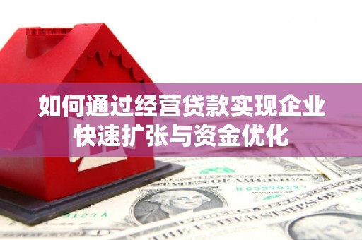 瑞穗如何通过经营贷款实现企业快速扩张与资金优化
