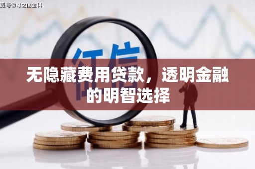 瑞穗无隐藏费用贷款，透明金融的明智选择