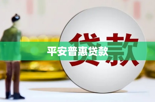 瑞穗平安普惠贷款