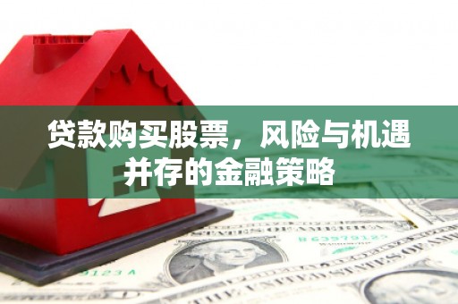 瑞穗贷款购买股票，风险与机遇并存的金融策略