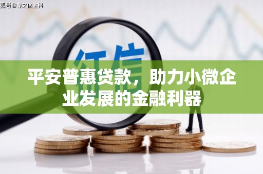 瑞穗平安普惠贷款，助力小微企业发展的金融利器