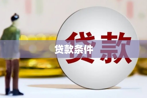 瑞穗贷款条件