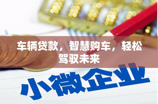 瑞穗车辆贷款，智慧购车，轻松驾驭未来