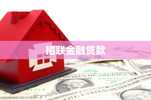 瑞穗招联金融贷款