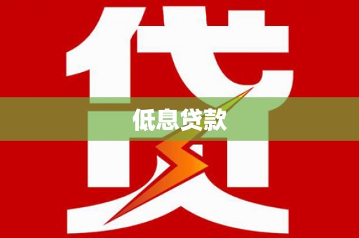 瑞穗低息贷款