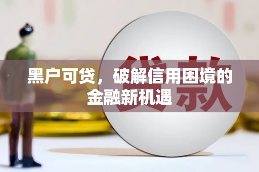 瑞穗黑户可贷，破解信用困境的金融新机遇