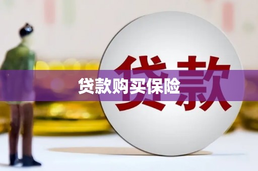 瑞穗贷款购买保险