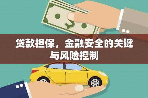 瑞穗贷款担保，金融安全的关键与风险控制