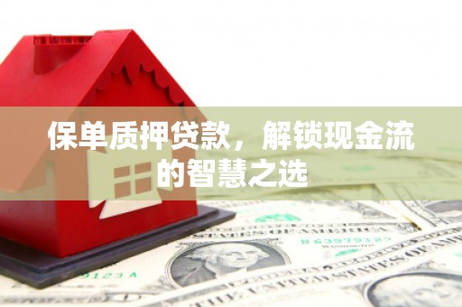 瑞穗保单质押贷款，解锁现金流的智慧之选