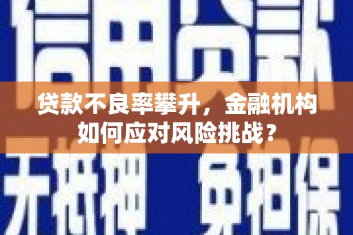 瑞穗贷款不良率攀升，金融机构如何应对风险挑战？
