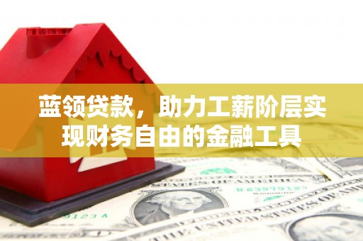 瑞穗蓝领贷款，助力工薪阶层实现财务自由的金融工具