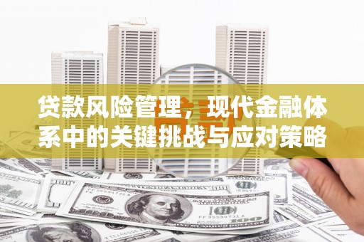 瑞穗贷款风险管理，现代金融体系中的关键挑战与应对策略