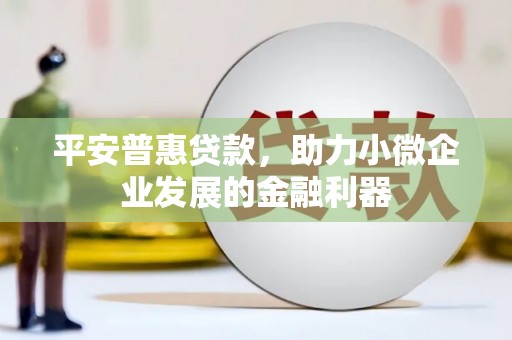 瑞穗平安普惠贷款，助力小微企业发展的金融利器