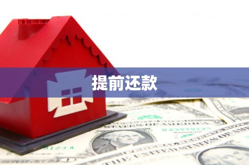 瑞穗提前还款