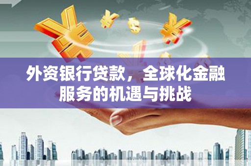 瑞穗外资银行贷款，全球化金融服务的机遇与挑战