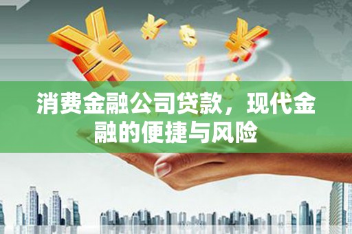 瑞穗消费金融公司贷款，现代金融的便捷与风险