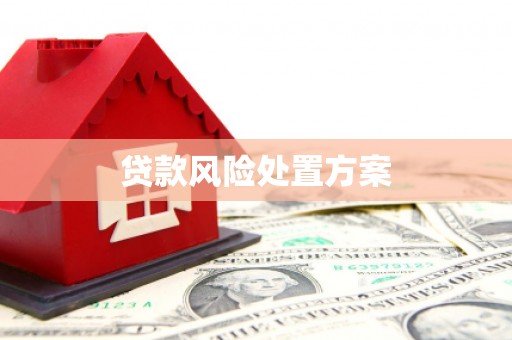 瑞穗贷款风险处置方案