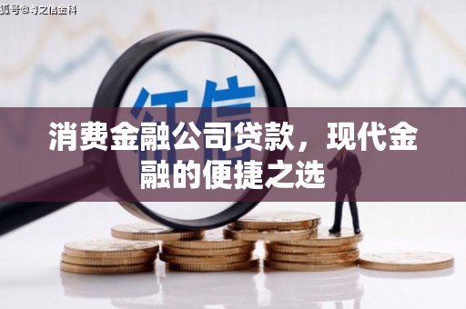 瑞穗消费金融公司贷款，现代金融的便捷之选