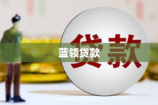 瑞穗蓝领贷款