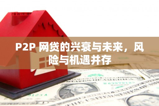 瑞穗P2P 网贷的兴衰与未来，风险与机遇并存
