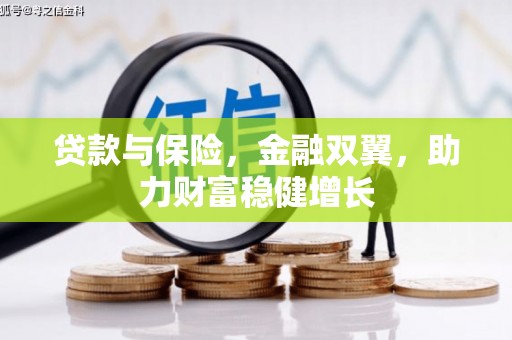 瑞穗贷款与保险，金融双翼，助力财富稳健增长